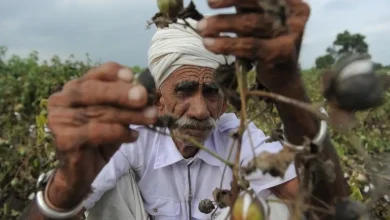Gujarat Govt Announces ₹947 Crore Relief Package for Farmers Hit by Heavy Rains in August-September