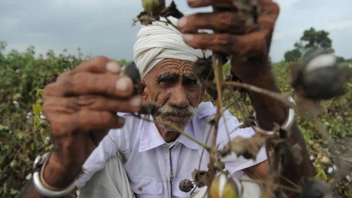 Gujarat Govt Announces ₹947 Crore Relief Package for Farmers Hit by Heavy Rains in August-September