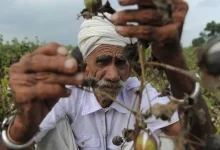 Gujarat Govt Announces ₹947 Crore Relief Package for Farmers Hit by Heavy Rains in August-September