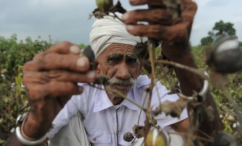 Gujarat Govt Announces ₹947 Crore Relief Package for Farmers Hit by Heavy Rains in August-September