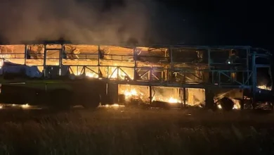 Tragic Inferno Claims 32 Lives on Hyderabad-Bengaluru Highway: Andhra CM Mourns Devastating Bus Blaze
