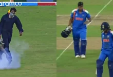 IND vs PAK Women's World Cup: Millions of Bugs Swarm During India–Pakistan Clash | WATCH