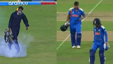 IND vs PAK Women's World Cup: Millions of Bugs Swarm During India–Pakistan Clash | WATCH