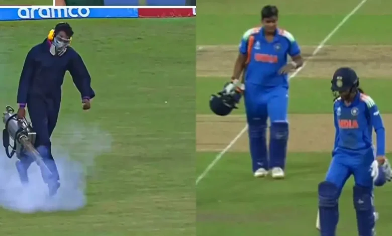 IND vs PAK Women's World Cup: Millions of Bugs Swarm During India–Pakistan Clash | WATCH