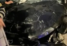 UP Tragedy: Speeding SUV Runs Over Pedestrians in Agra; 5 Killed, 2 Injured | Watch Video