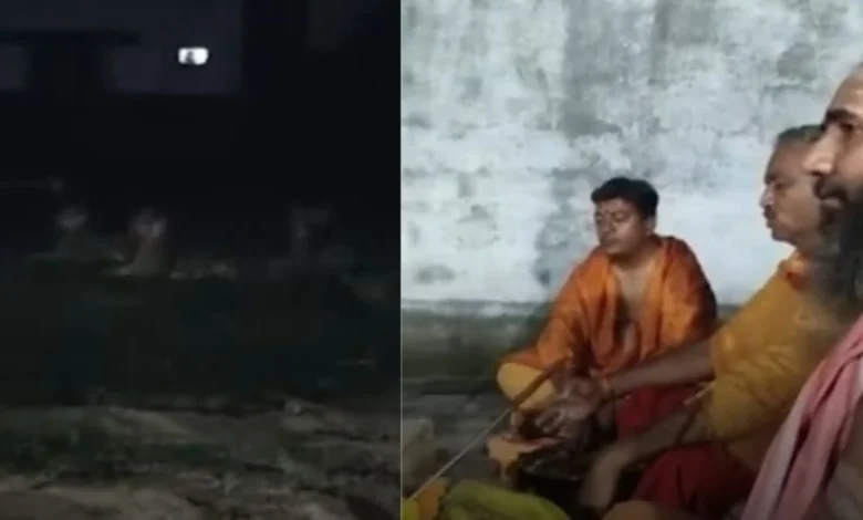 VIDEO: Three Lions Sit Quietly Near Khodiyar Temple Yajna in Girnar, Leave Only After Rituals End