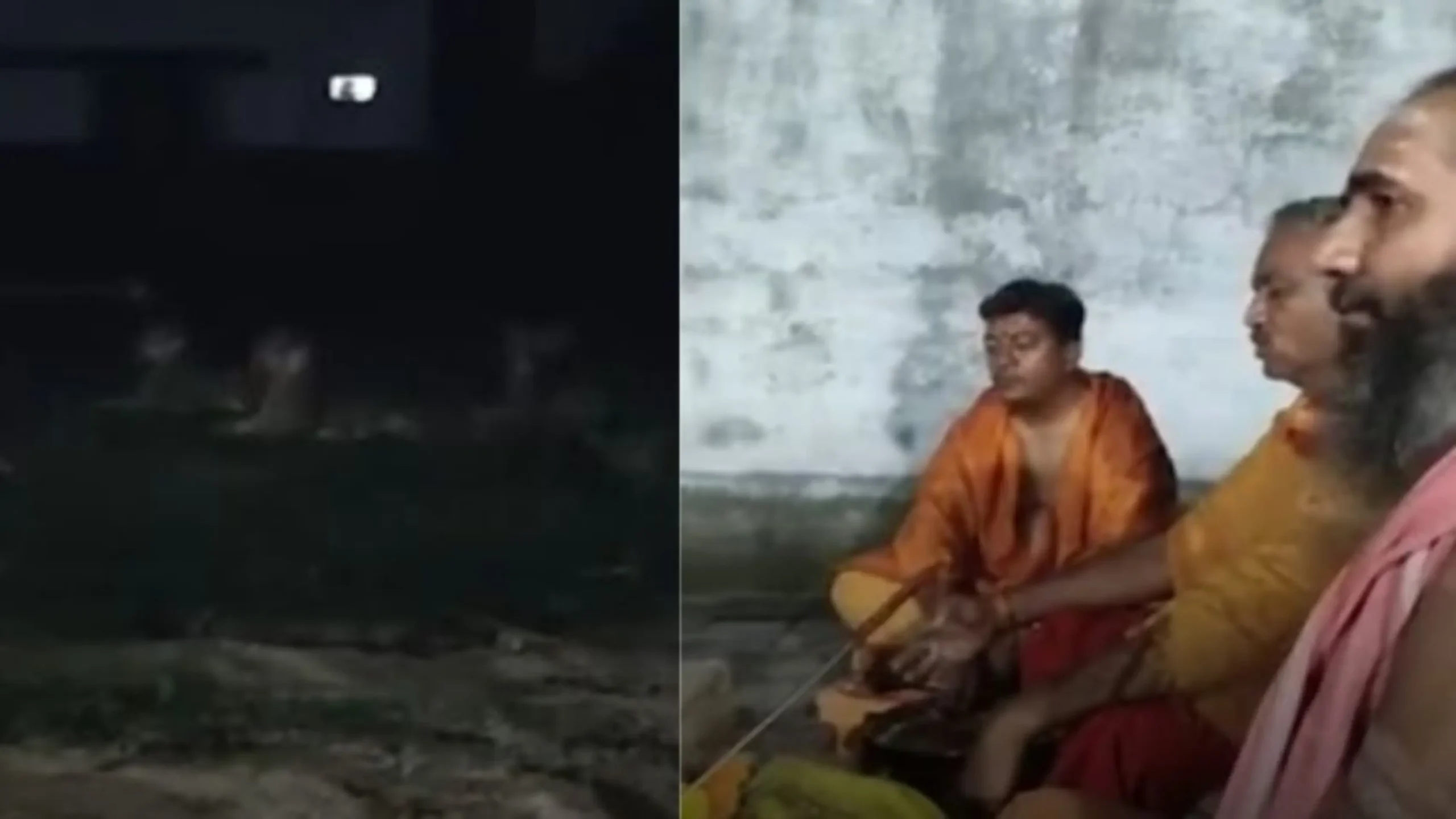 VIDEO: Three Lions Sit Quietly Near Khodiyar Temple Yajna in Girnar, Leave Only After Rituals End