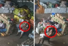 Viral CCTV Footage Shows Employee suffers Heart Attack, Dies at Workplace as Boss Looks On
