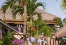 25-year-old woman dies, 10 others hospitalised after mass poisoning at Bali hostel