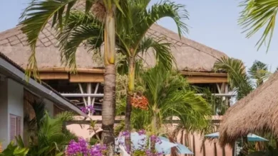 25-year-old woman dies, 10 others hospitalised after mass poisoning at Bali hostel