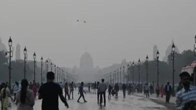 Delhi's Smog Chokes Capital as AQI Hits 397; Demonstrators Pepper-Spray Officers in Tense Standoff