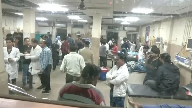 Passenger Bus Tumbles into Ravine Near Indore, Killing Three and Wounding 38