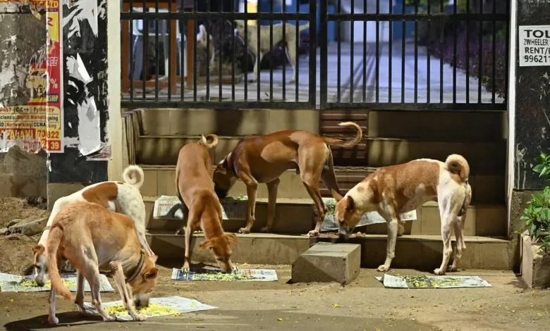 The Supreme Court on Friday ordered the complete removal of stray dogs from near educational institutions, bus and railway stations, sports facilities.