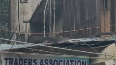 Gruesome Discovery 300 Meters from Site: Severed Limb Highlights Devastating Power of Delhi Red Fort Explosion