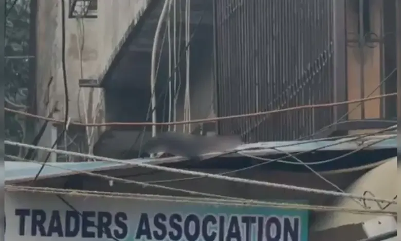 Gruesome Discovery 300 Meters from Site: Severed Limb Highlights Devastating Power of Delhi Red Fort Explosion