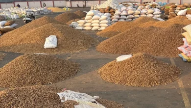 Amreli Market Yard Leaves Groundnut Farmers Struggling For Hours Without Basic Facilities