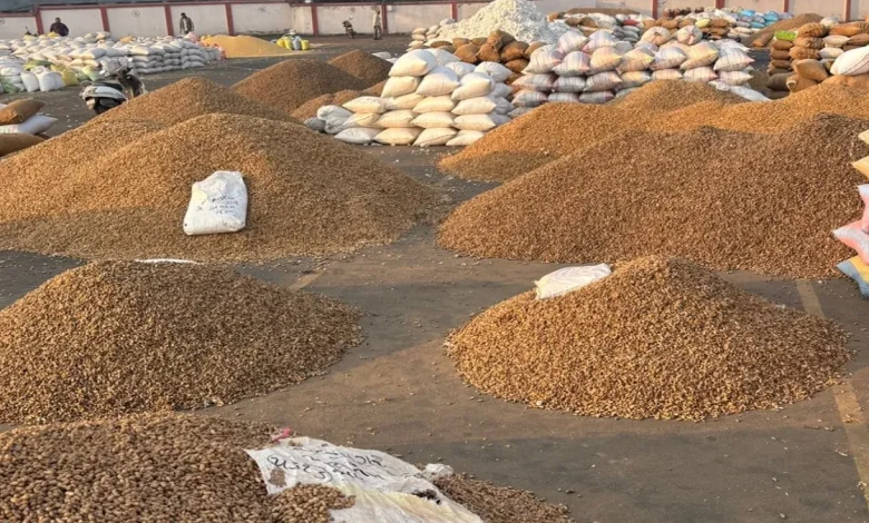 Amreli Market Yard Leaves Groundnut Farmers Struggling For Hours Without Basic Facilities