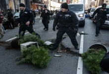Anti-ICE Protesters Clash With Police In Manhattan's Chinatown, 18 Arrested