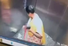 Bengaluru Shock: Domestic Help Caught on CCTV Killing Pet Puppy Inside Lift, Public Demands Justice