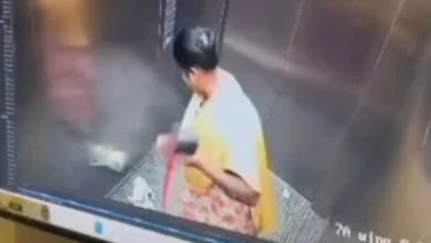 Bengaluru Shock: Domestic Help Caught on CCTV Killing Pet Puppy Inside Lift, Public Demands Justice