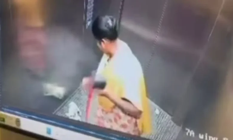 Bengaluru Shock: Domestic Help Caught on CCTV Killing Pet Puppy Inside Lift, Public Demands Justice