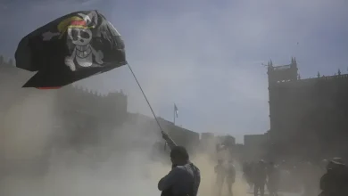 Gen Z Protesters in Mexico raise One Piece-inspired 'Straw Hat Pirate' Flags amid Global Youth Resistance Movement