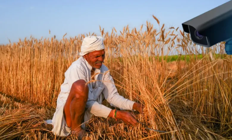 Gujarat Begins MSP Purchase of Groundnut and Pulses Across 22 Districts; CCTV Monitoring for Transparency