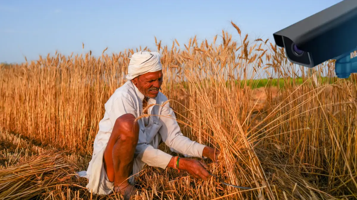 Gujarat Begins MSP Purchase of Groundnut and Pulses Across 22 Districts; CCTV Monitoring for Transparency