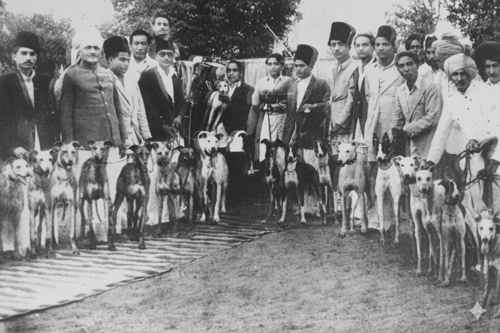 Nawab Muhammad Mahabat Khan III Khanji's Dogs