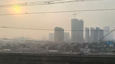 Mumbai's Smog Stranglehold Tightens: Suburbs Hit Hazardous Levels as Fine Particles Surge
