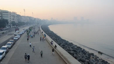 Mumbai Revels in Balmy November Breeze Amid Lingering Moderate Pollution Haze