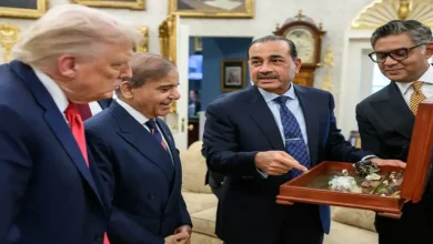 Pakistan Ships First Batch Of Rare Earth Minerals To US After Trump Meeting; India Monitors Strategic Partnership