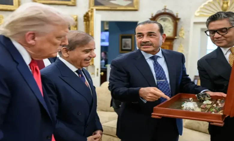 Pakistan Ships First Batch Of Rare Earth Minerals To US After Trump Meeting; India Monitors Strategic Partnership