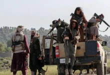 A chilling video of a public execution has emerged on social media that reports say is from eastern Afghanistan's Khost.