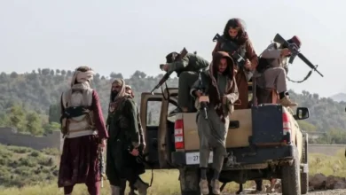 A chilling video of a public execution has emerged on social media that reports say is from eastern Afghanistan's Khost.