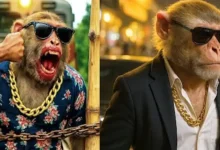 “AI slop” may be pulling in that kind of annual revenue, suggesting how lucrative this grey content economy has quietly become.