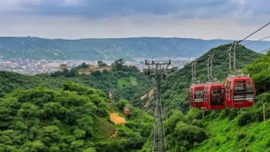 Union Minister Bhupender Yadav on Tuesday said misinformation was being spread about the Supreme Court’s decision on the Aravalli range.