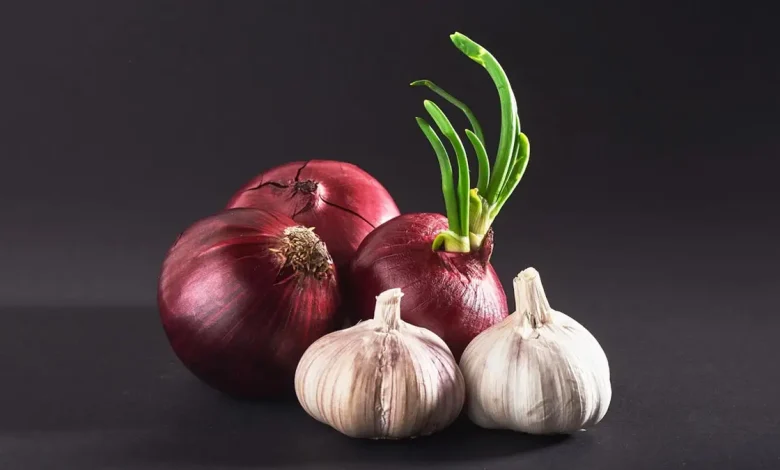 The Gujarat high court has dismissed the wife's appeal challenging the dissolution of the marriage.