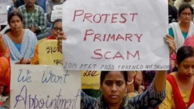 A division bench of the Calcutta High Court on Wednesday overturned a single-bench order that had terminated the appointments of 32,000 primary teachers in connection with the cash-for-jobs scam case.