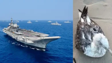 A migratory seagull fitted with a Chinese-made GPS tracking device was found along Karnataka's Karwar coast, close to the INS Kadamba naval base, sparking curiosity and suspicion among the locals.