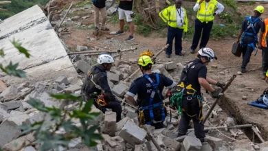 Hindu Temple Collapse In South Africa Kills Four Including Indian-Origin Man, Several Trapped