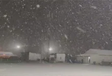 Kashmir Receives Season's First Snowfall, Ending Prolonged Dry Spell | Video