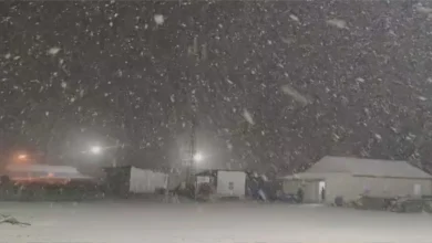 Kashmir Receives Season's First Snowfall, Ending Prolonged Dry Spell | Video