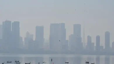 Mumbai Experiences Chilly Start with Cool Temperatures and Moderate Air Pollution Concerns