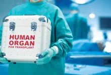 Mumbai: Brain-Dead Woman's Heart Reaches Hospital In 17 Minutes Via Green Corridor; Transplant Underway For 60-Year-Old Patient