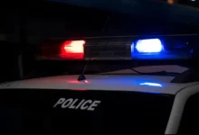 Daughter-in-Law Arrested for Fatally Beating Retired Air Force Officer Amid Property Row in Delhi