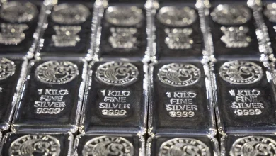 Silver Prices Surge Past Rs 2 Lakh Per Kg As MCX Futures Touch Record High of Rs 2,00,362