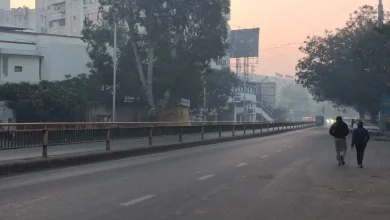 Gujarat Weather Forecast: Cold Wave Likely to Ease Before Uttarayan; Here’s the Statewide Outlook for the Next 7 Days