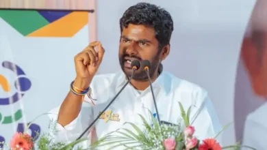 BJP leader K Annamalai on Monday hit back sharply at Maharashtra Navnirman Sena (MNS) chief Raj Thackeray,