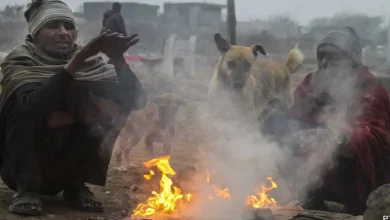 Bay of Bengal Storm Intensifies: Heavy Rains Expected in South While Gujarat Braces for Continued Cold